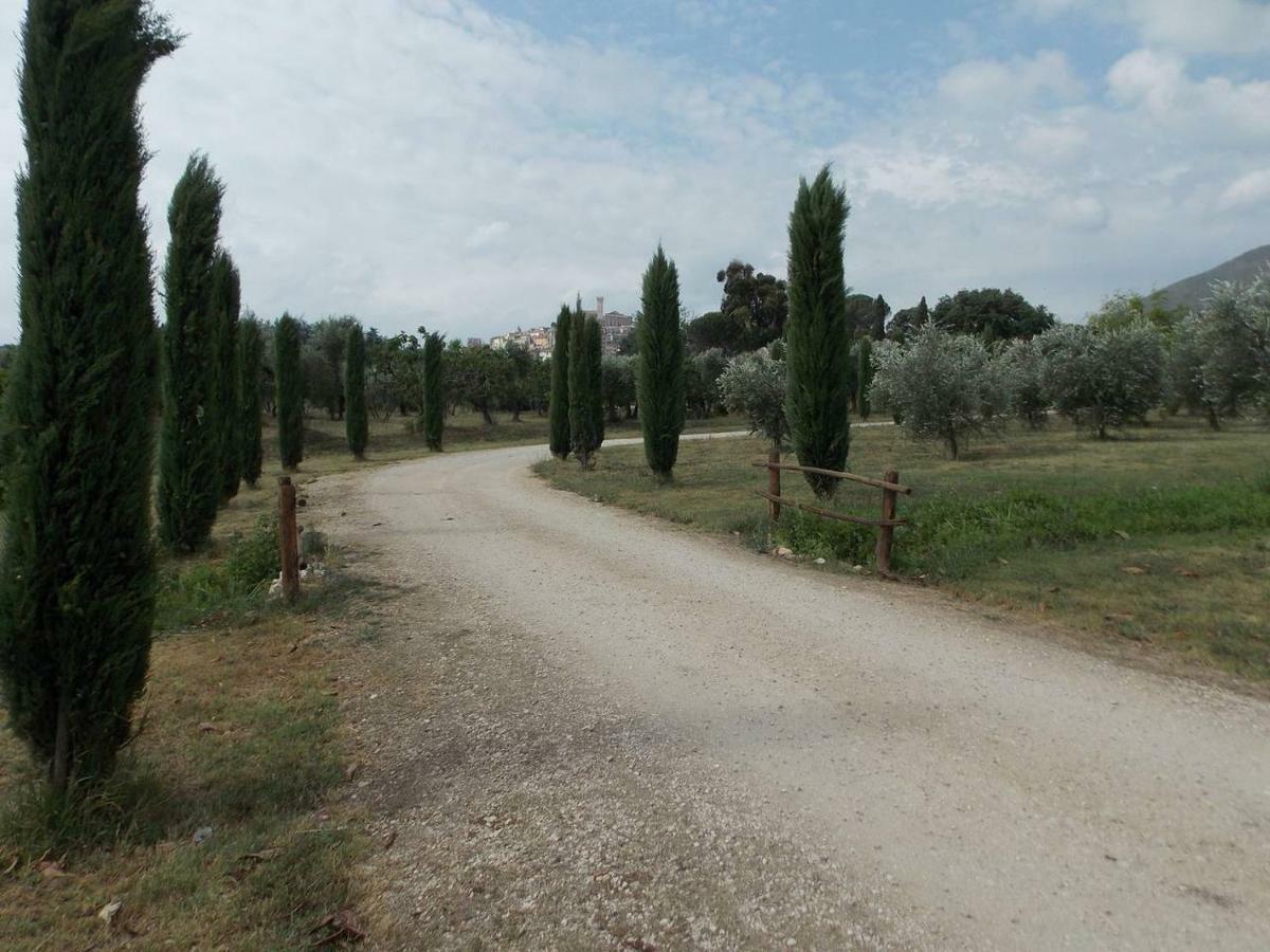 Villa Agriturismo Cento Ducati Palombara Sabina Exterior foto