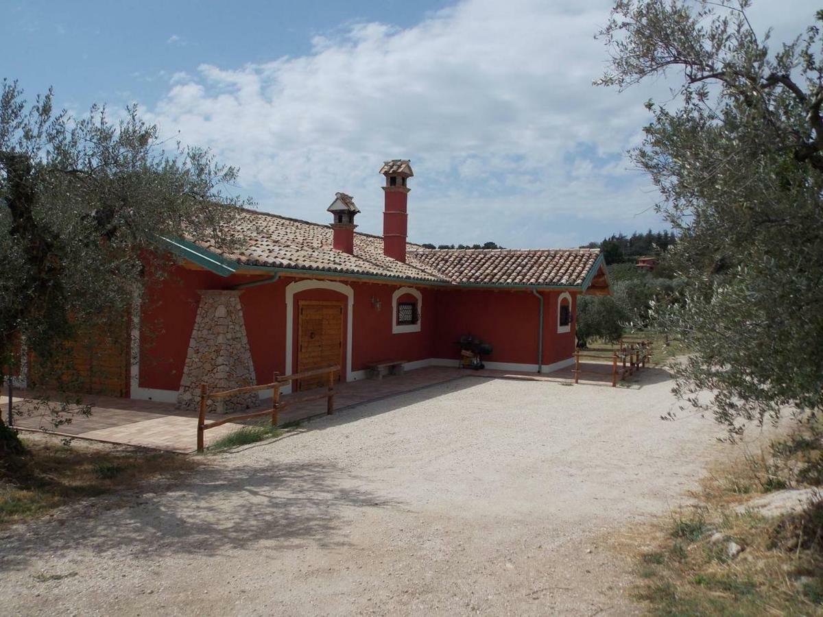 Villa Agriturismo Cento Ducati Palombara Sabina Exterior foto